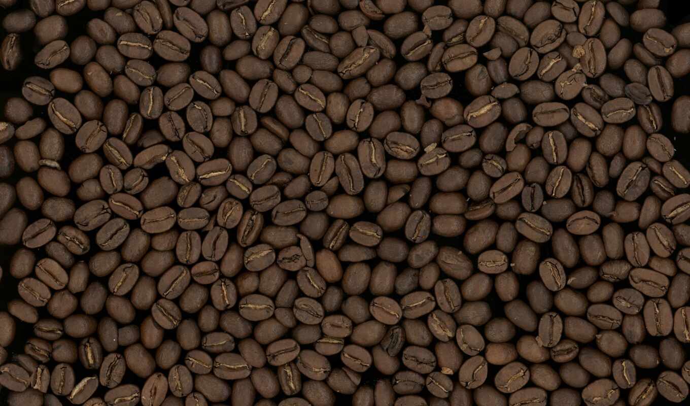 wallpaper, photo, C, textures, coffee, seed, macro, grains